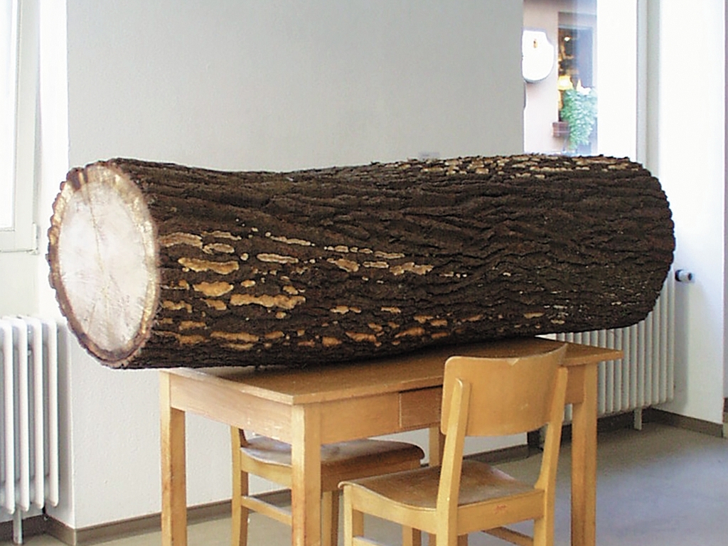 Holzskulpturen, 1999